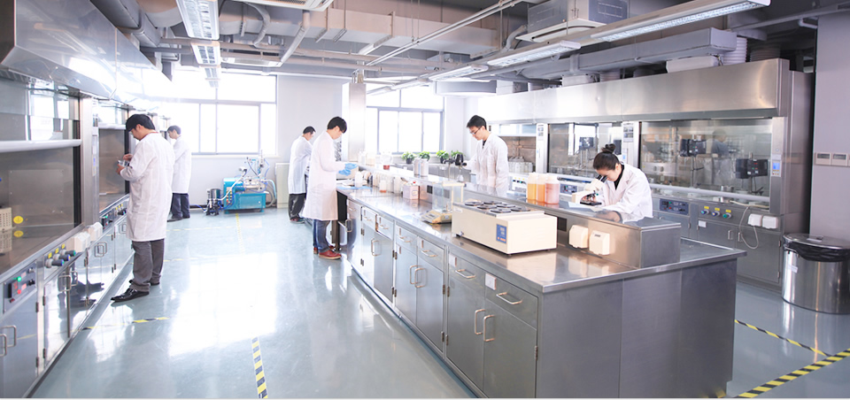 專(zhuān)業(yè)研發(fā)團(tuán)隊(duì)領(lǐng)跑涂料前沿