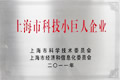 上海市科技小巨人企業(yè)